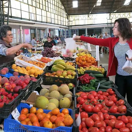 Apartment Serena 2 Nazare